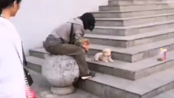 无家可归的他、在给流浪的它扇风解热他边扇边轻轻地对它说:你是不是也无家可归那让我们做个伴一起流浪吧…